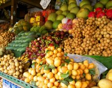 Fruits Stand