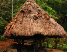 Ifugao Huts