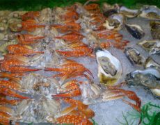 Sea Foods