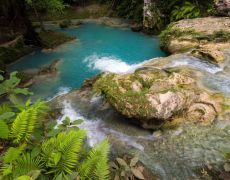 Tropical Natural Pool