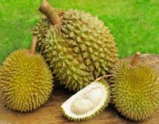 Durian