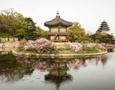 Gyeong bok Palace