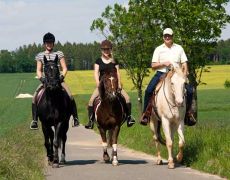 Horseback Riding