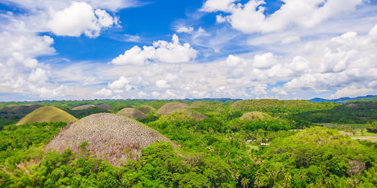 Bohol