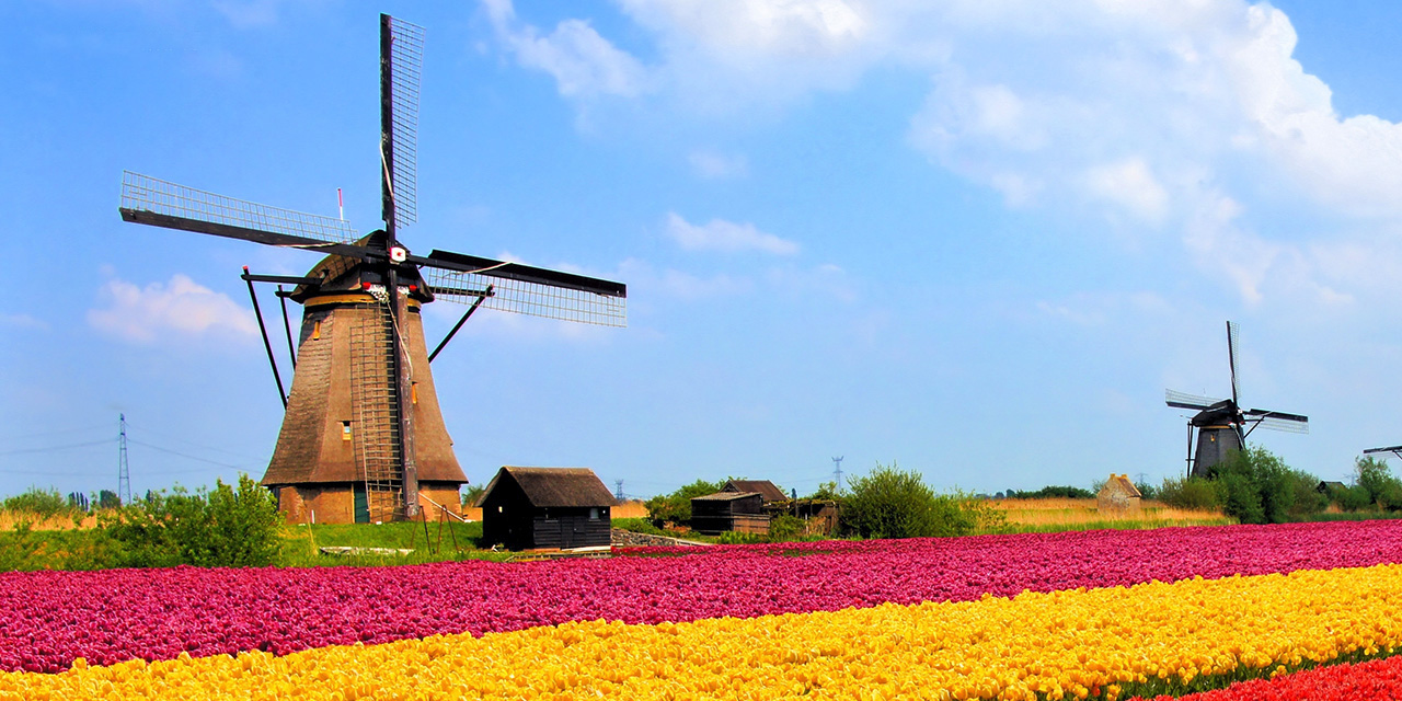 BEST OF THE NETHERLANDS